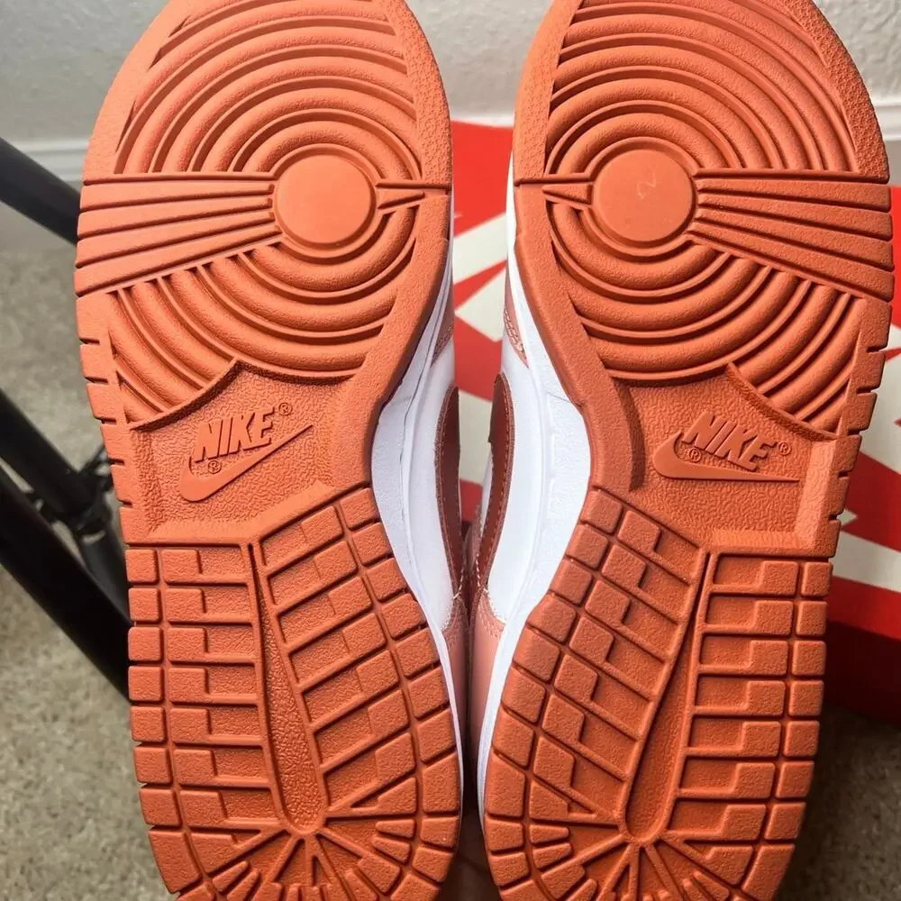 NWT Nike Dunk Low 8.5
